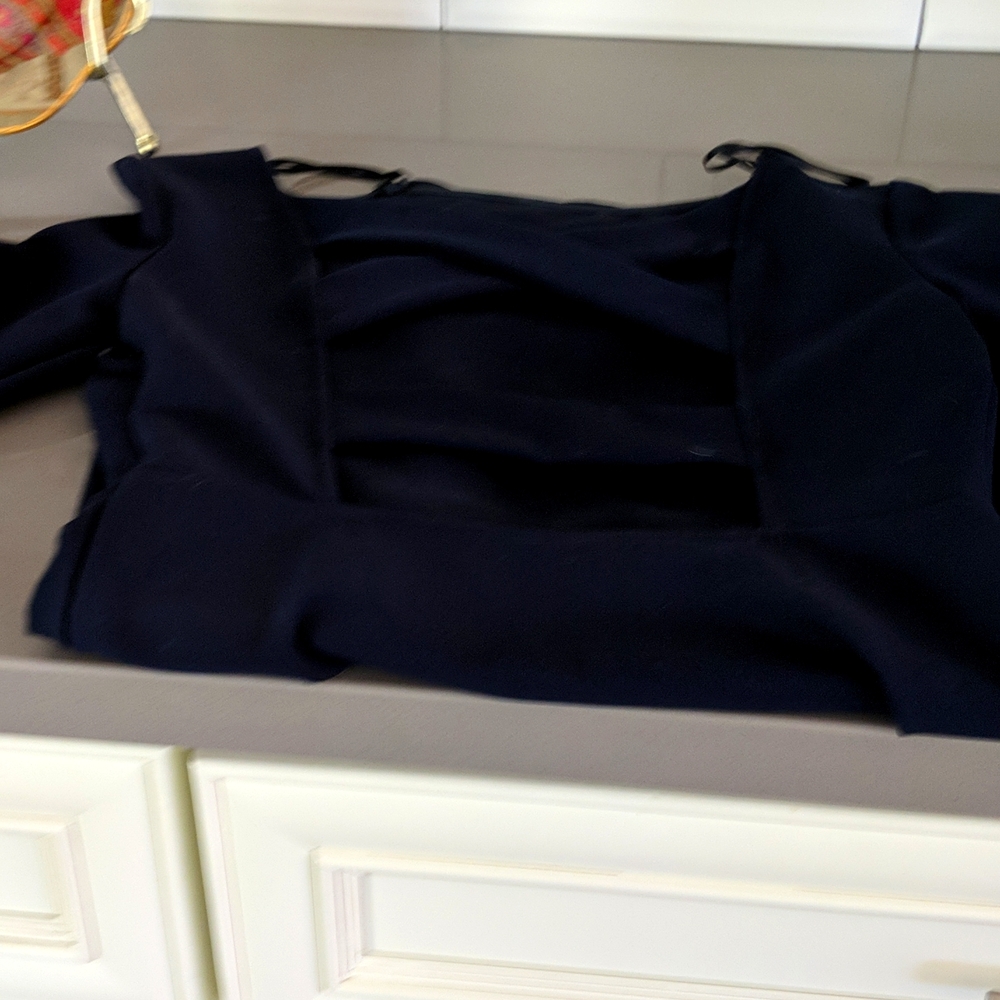 Zara 3/4 sleeve dress with cut out back.